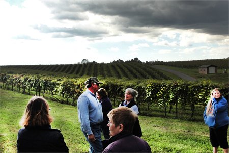 Neil Shore shows Piedmont Farm School participants his winegrape vineyards.