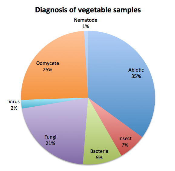 Figure 2: Diagnosis of vegetable samples during 2013