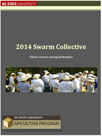 SwarmCollectiveThumbnail