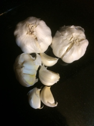 Garlic  Piedmont Master Gardeners