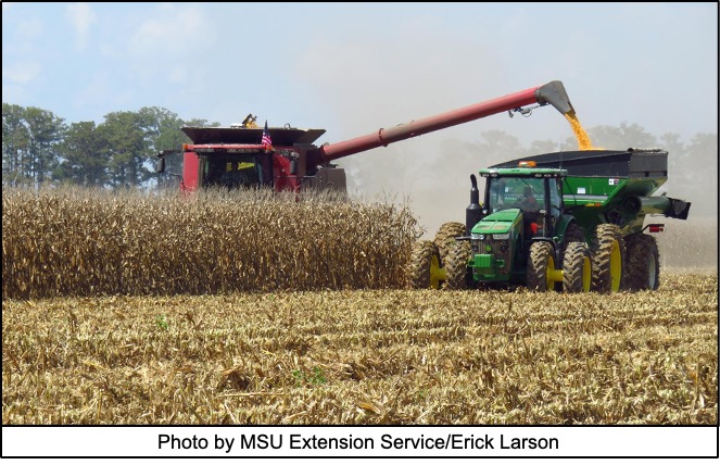 Corn Harvest Has Begun  N.C. Cooperative Extension