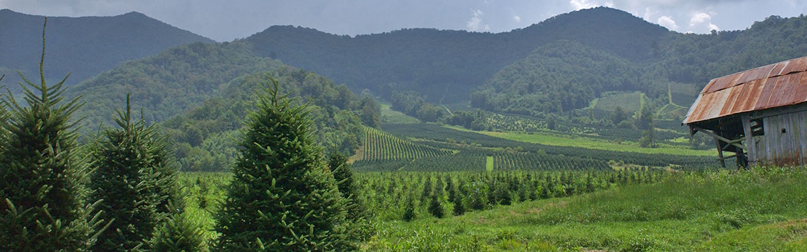 nc arboretum field trips