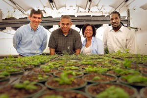N.C. Cooperative Extension is committed to diversity.