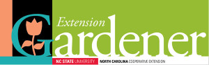 Extension-Gardener-header