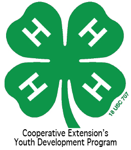 Cover photo for 4-H Project Record Books