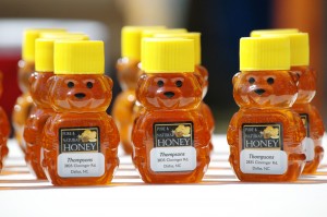 Honey Bears for Sale