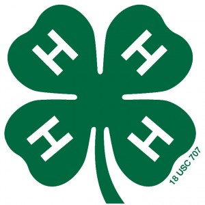 4-H Clover 4-H Clover