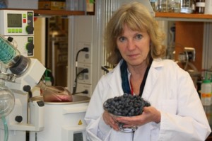 Dr.-Mary-Ann-Lila-and-blueberry-research Dr. Mary Ann Lila and blueberries