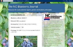 The N.C. Blueberry Journal screen shot