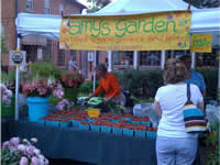 Farmer's Market strawberry sales