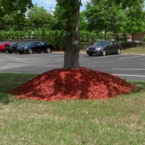 Mulch volcano