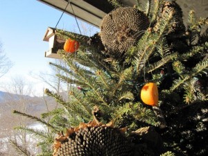 Christmas tree decorated for the birds.