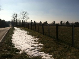 Snow on ground