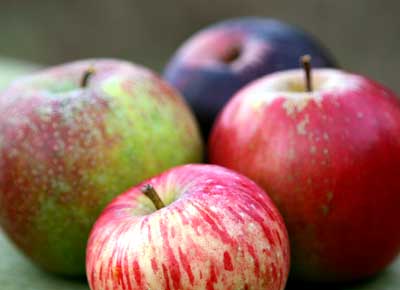 Organic Apples vs. Regular Apples - Does it really matter? - Wake the Wolves