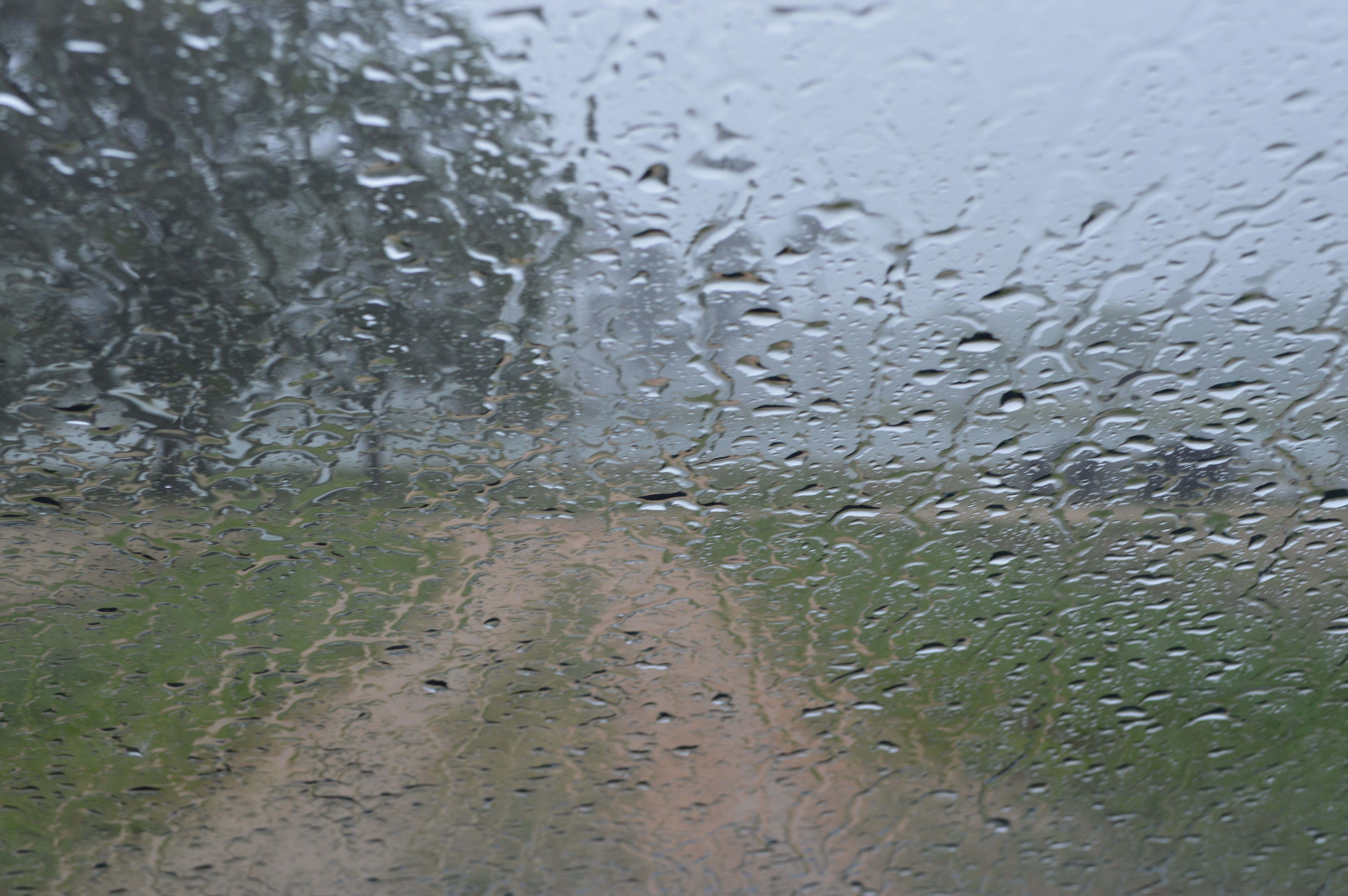 Showers Weather Showers Weather