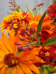 Flowers grown by the NCSU cut flower program, 2012