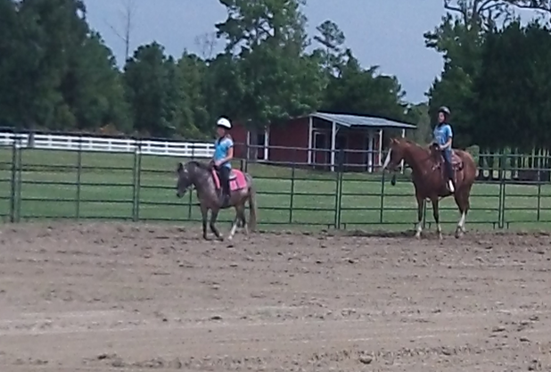 4h horsemanship