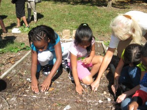 kids planting garlic