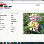Searchable Database of Plants