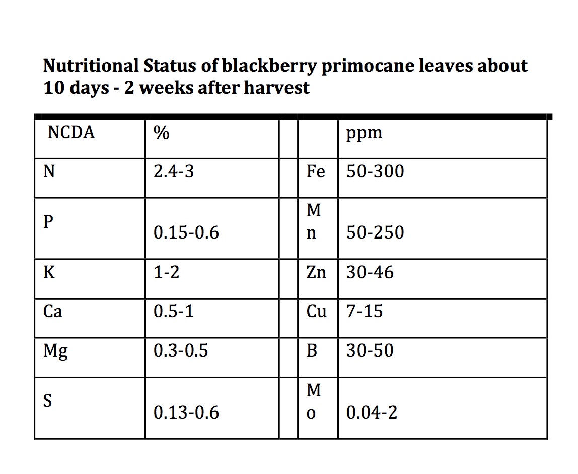 NCDA nutrient range blackberry