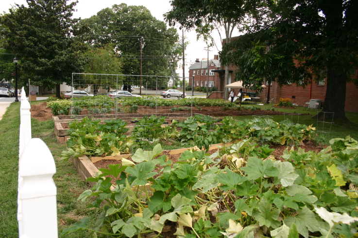 Urban agriculture, agroecology, school and community gardens