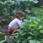Connecting kids to good food has no age limit!