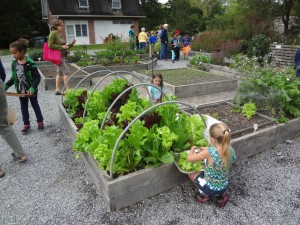 School gardens provide an integrated context for learning about food, nutrition, science, math and more!