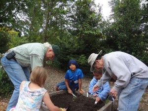 Master Gardeners prepping the raised bed for planting