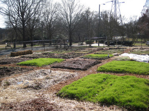 Garden Plots