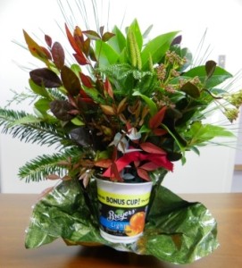 A foil covered yogurt cup serves as a perfect vase for miniature arrangements of fresh greenery. 