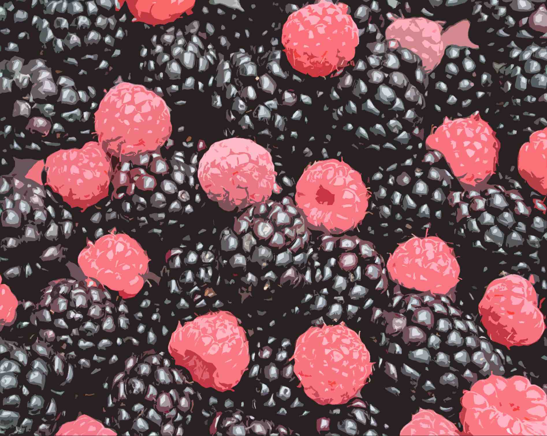 SMall blackberry raspberry cutout photoshopped