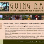 Going Native website