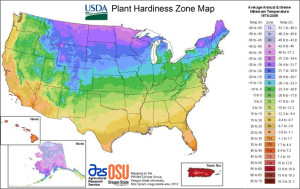 The USDA plant hardiness zone map.