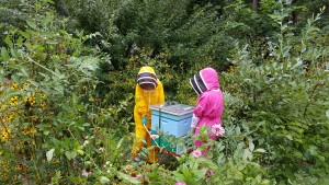 bee keepers