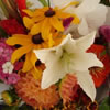 Flower Bouquet