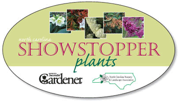 Logo Showstopper Plants