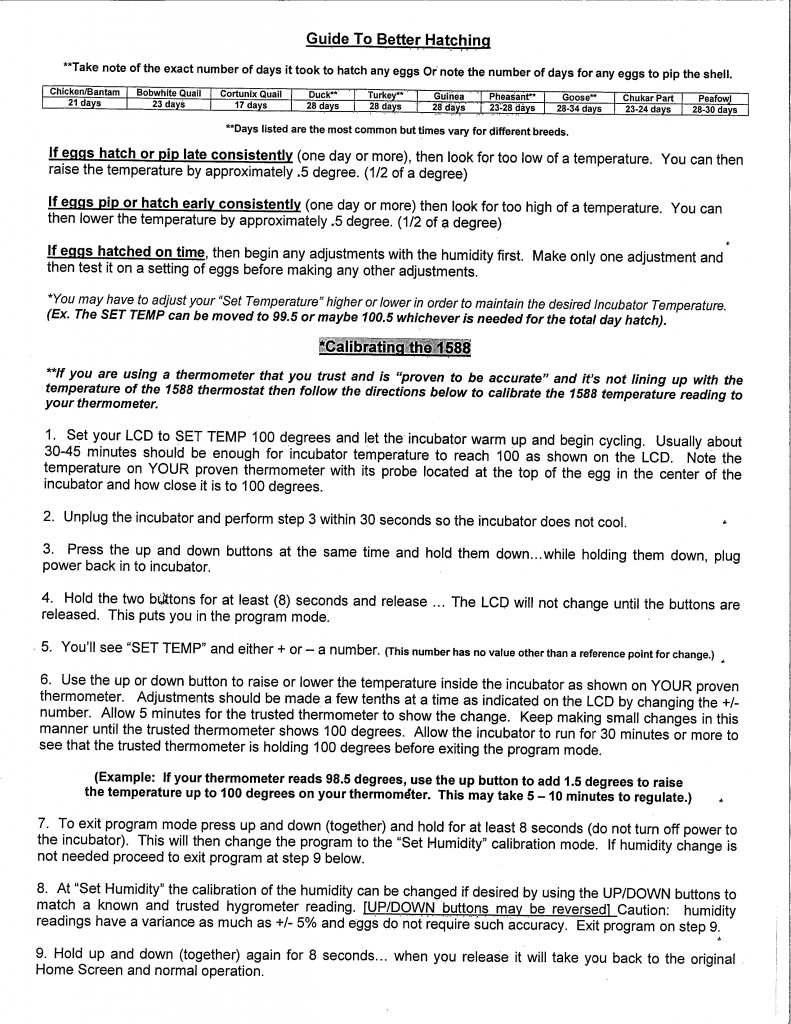 essay report format
