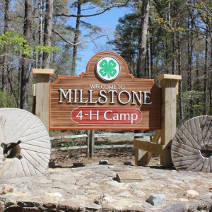Cover photo for NC 4-H Horsemanship Camp Information