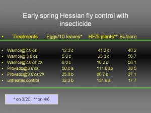Eggs per 10 leaves on 20 March and number of Hessian fly larvae per 5 plants on 6 April in a 2001 spring rescue spray trial done by Dr. John Van Duyn,