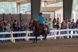 horse judging contest nc williamston martin college community
