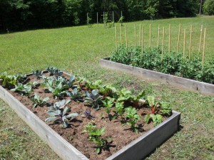 Mount Vernon Community Garden