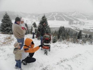 Family visiting a choose & cut Christmas tree farm in winter