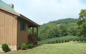 Residence near a Christmas tree farm