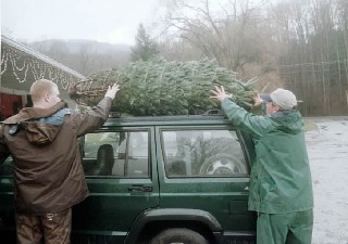 Helping load the tree