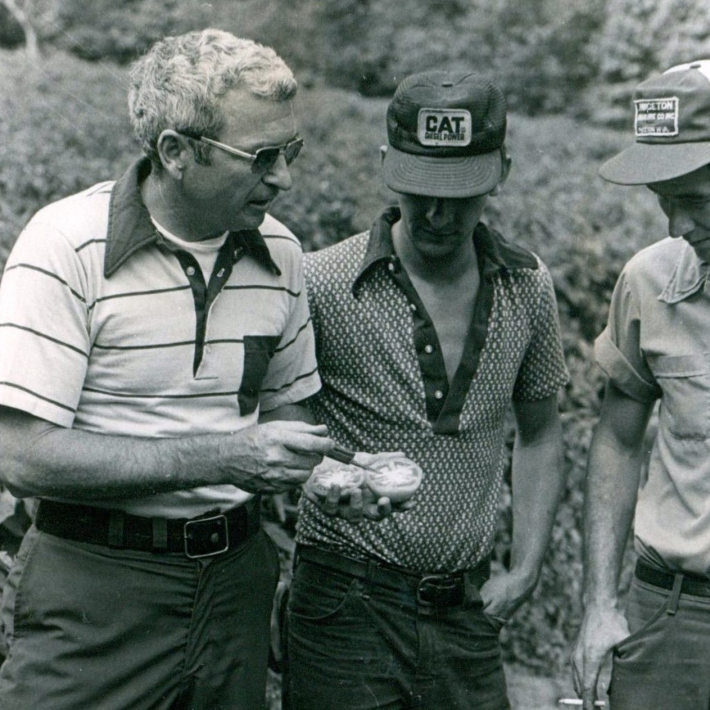 (L - R) NCSU Extension Agent Donald Bunn, Laney Dehart (center) and Larry Mashburn discussing tomatoes.