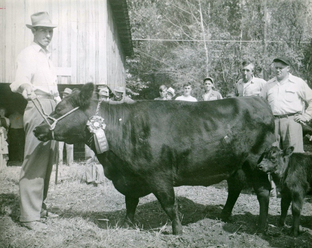 Swain County Livestock Show award winner. L-R Jack Wiggins, Don Morris, Paul Wiggins