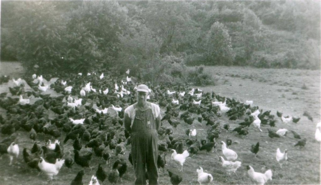 Swain County poultry farmer - Candler Barker.