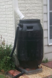 Rain barrel