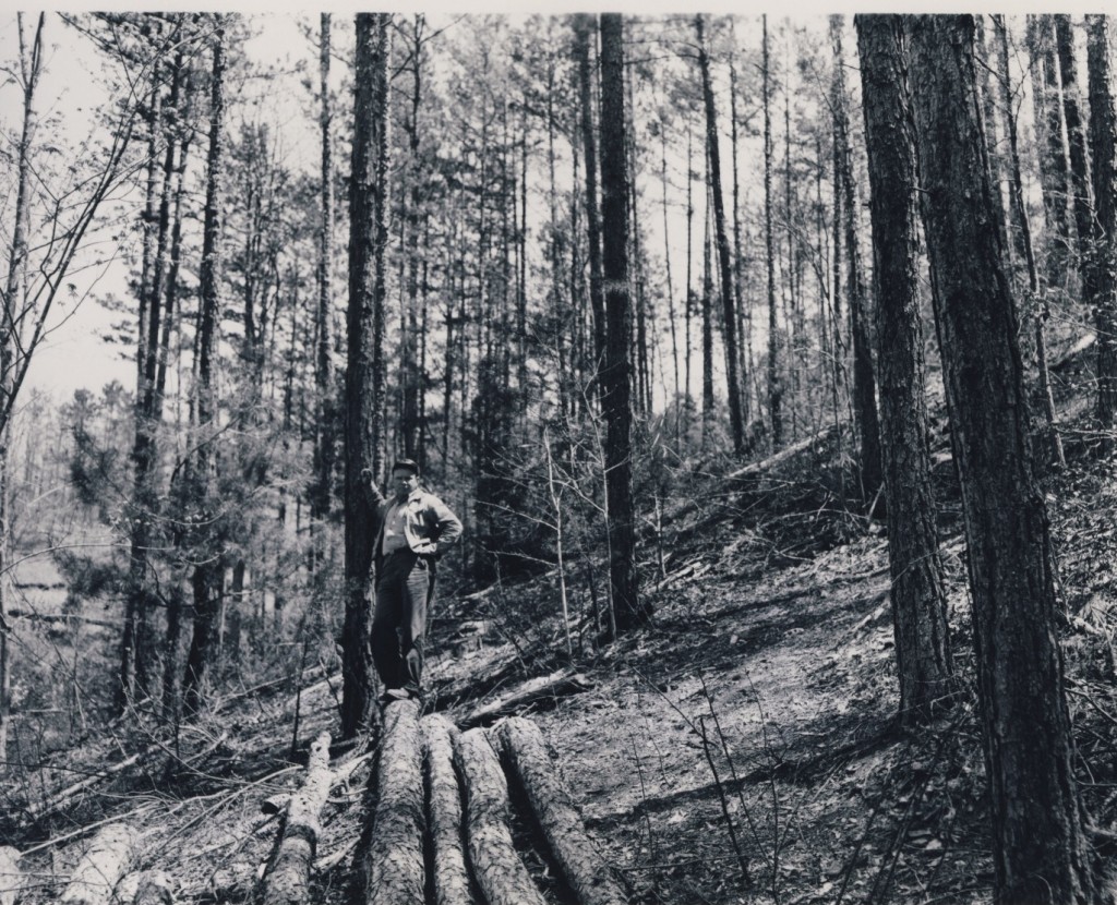 1959 - SCS Soil Scientist John Turpin looking over completed woodland Improvement Demonstration on Claude Cunningham Farm. (Swain County Soil & Water picture)