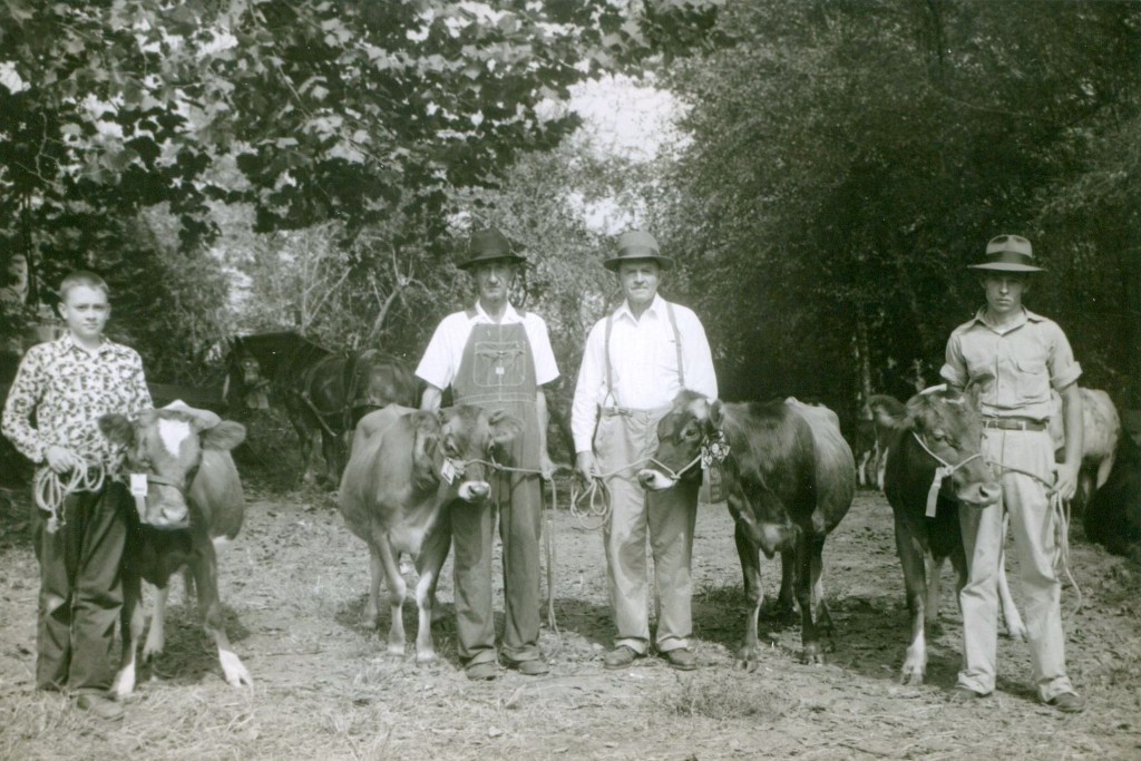 Swain County Livestock Show